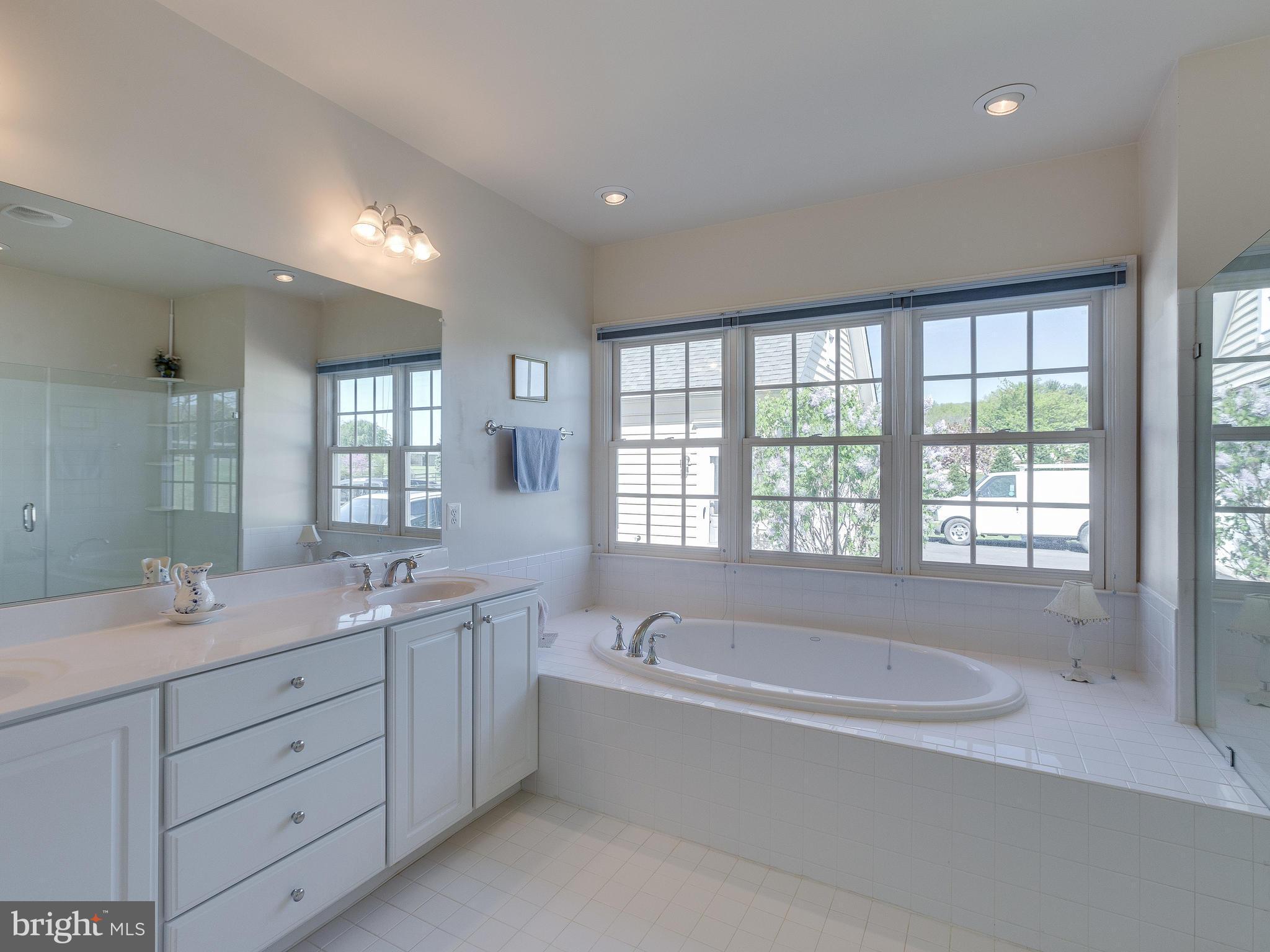 15013 Rolling Ridge Road Haymarket, VA 20169 - Photo 17 of 30 Bath (Master)