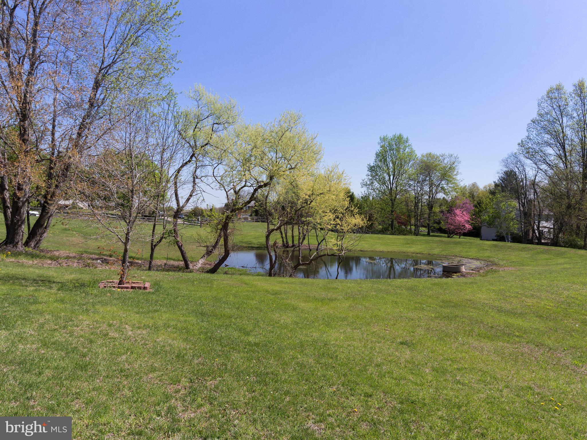15013 Rolling Ridge Road Haymarket, VA 20169 - Photo 9 of 30 Run Off Pond in Front Yard