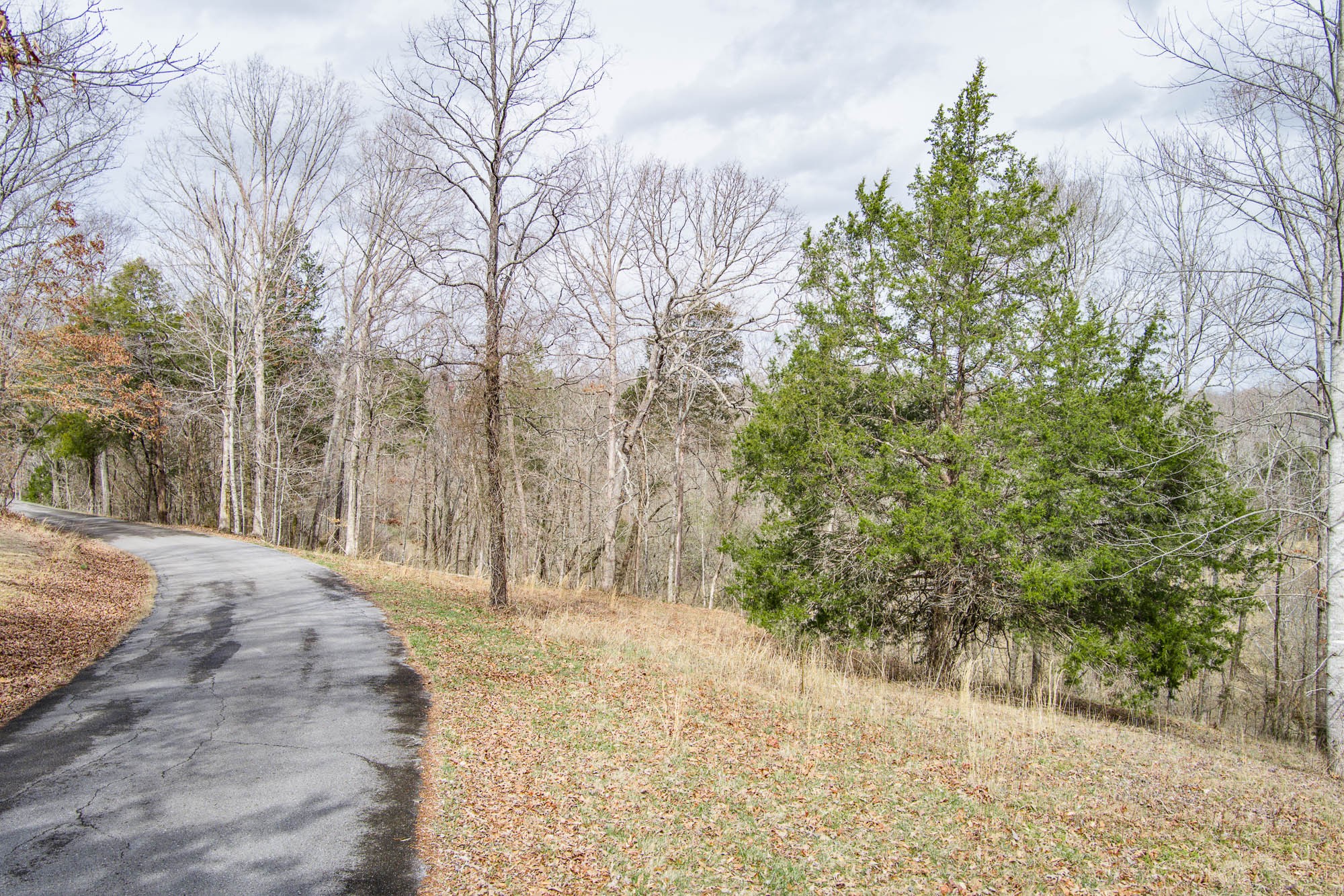 152 Rives Road Sparta, TN 38583 - Photo 8 of 10 Gallery Image 8