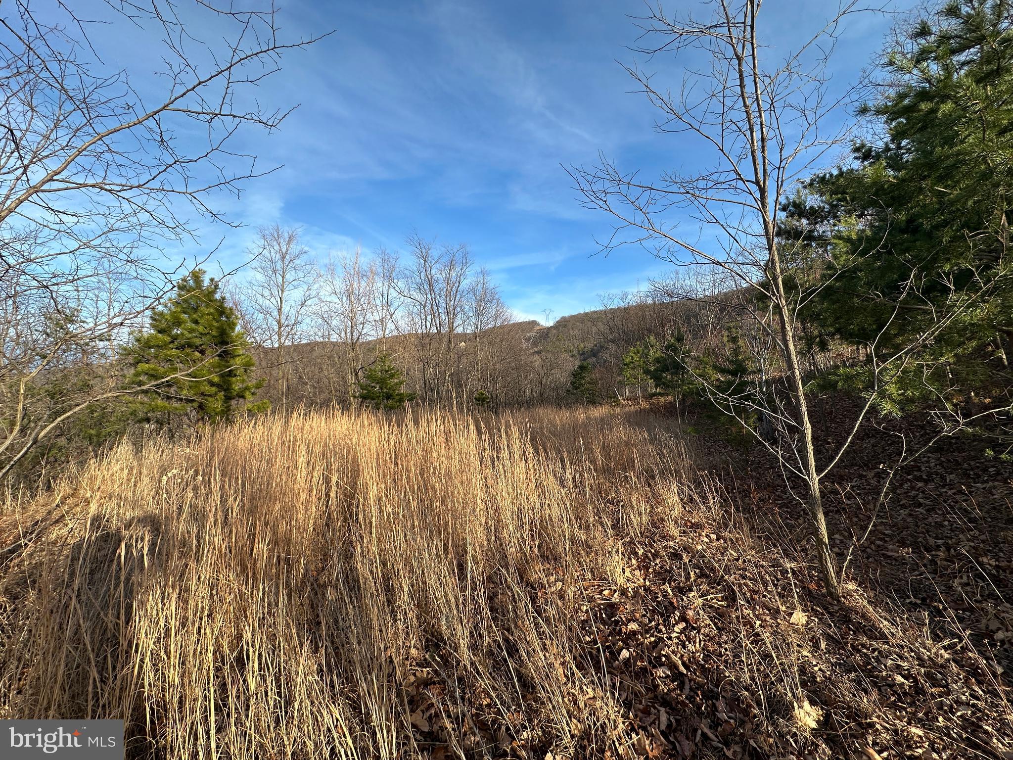 333 Nathaniel Mountain Road Moorefield, WV 26836 - Photo 35 of 65