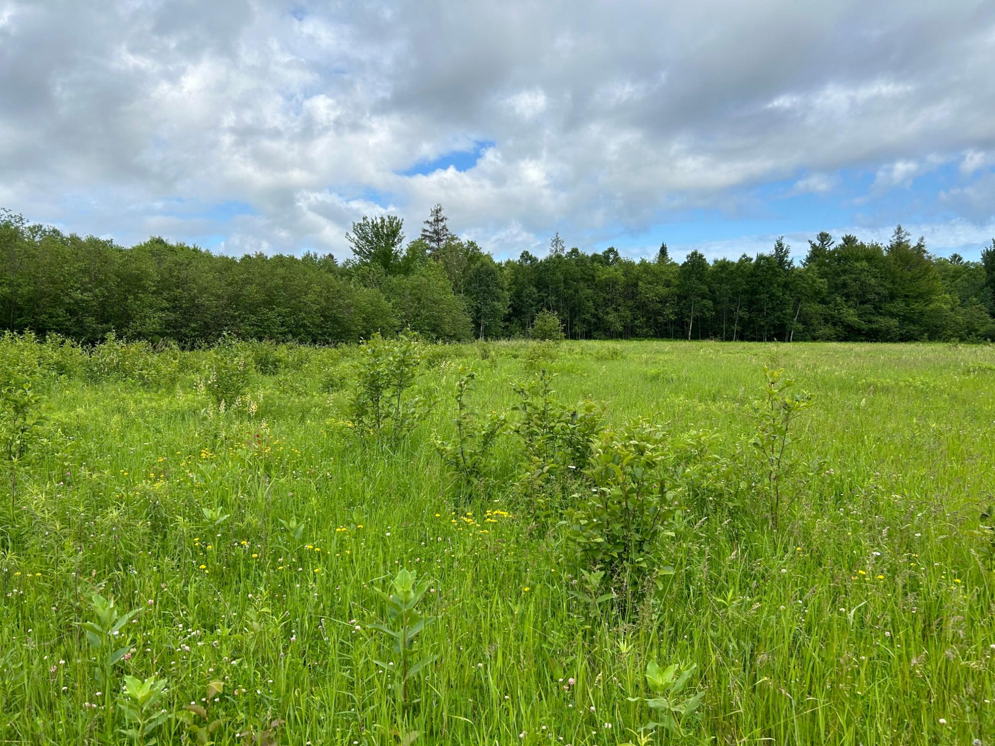 W12242 Highland Road Antigo, WI 54409 - Photo 23 of 29 Gallery Image 23