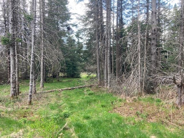 - Westview Road Stewartstown, NH 03576 - Photo 3 of 4 Gallery Image 3