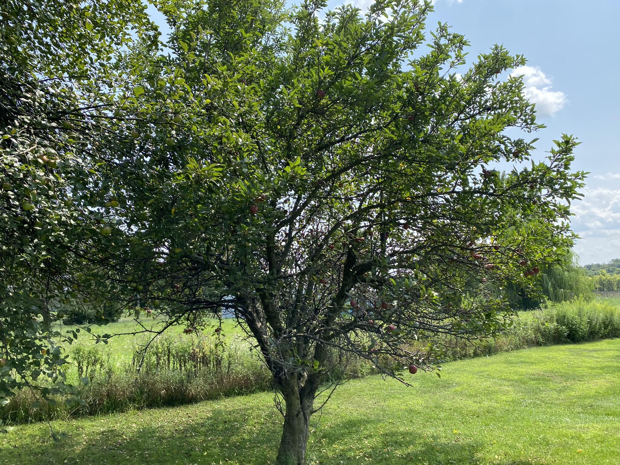 4191 Tamarack Road Hillsdale, MI 49242 - Photo 32 of 34 IMG_0927