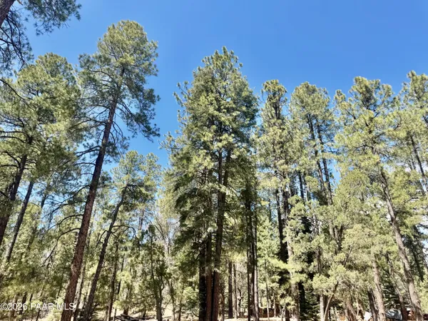 $310,000 | 3200 East Misty Mountain Loop, Prescott, AZ 86303