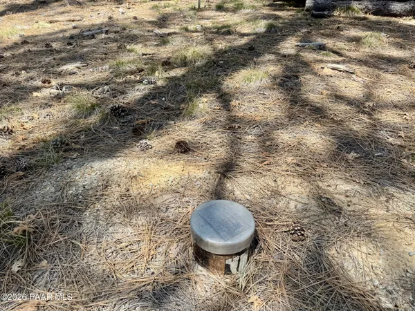 a view of a backyard of the house