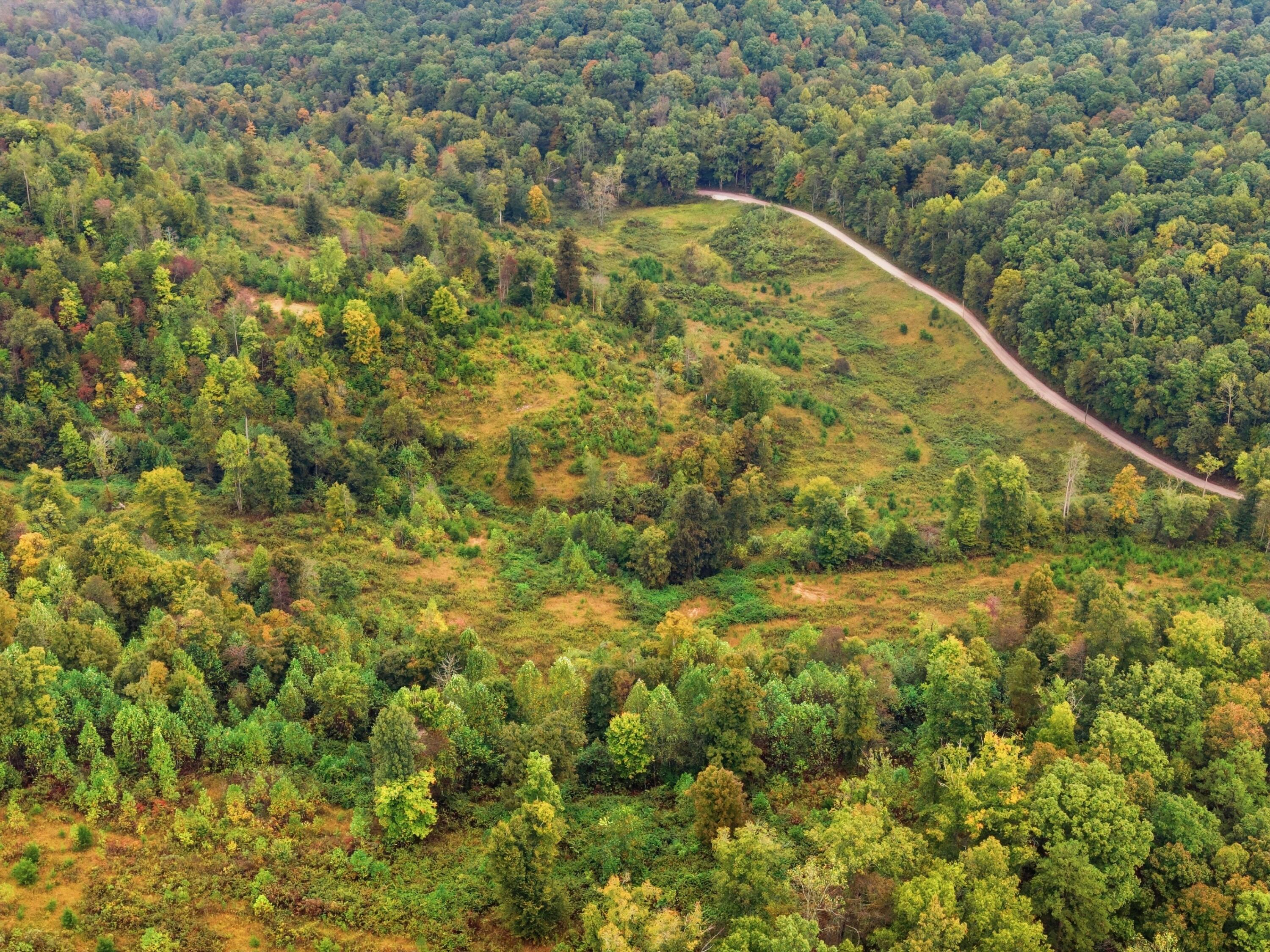 2000 Drum Road Somerset, KY 42501 - Photo 2 of 13 dji_20261002174547_0623_d