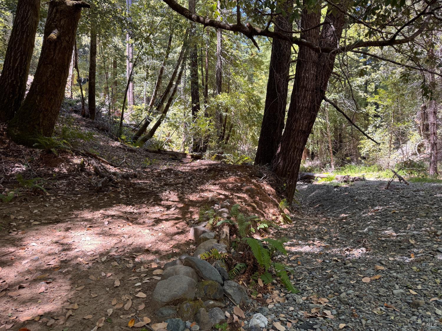 21530 Fort Ross Road Cazadero, CA 95421 - Photo 20 of 56