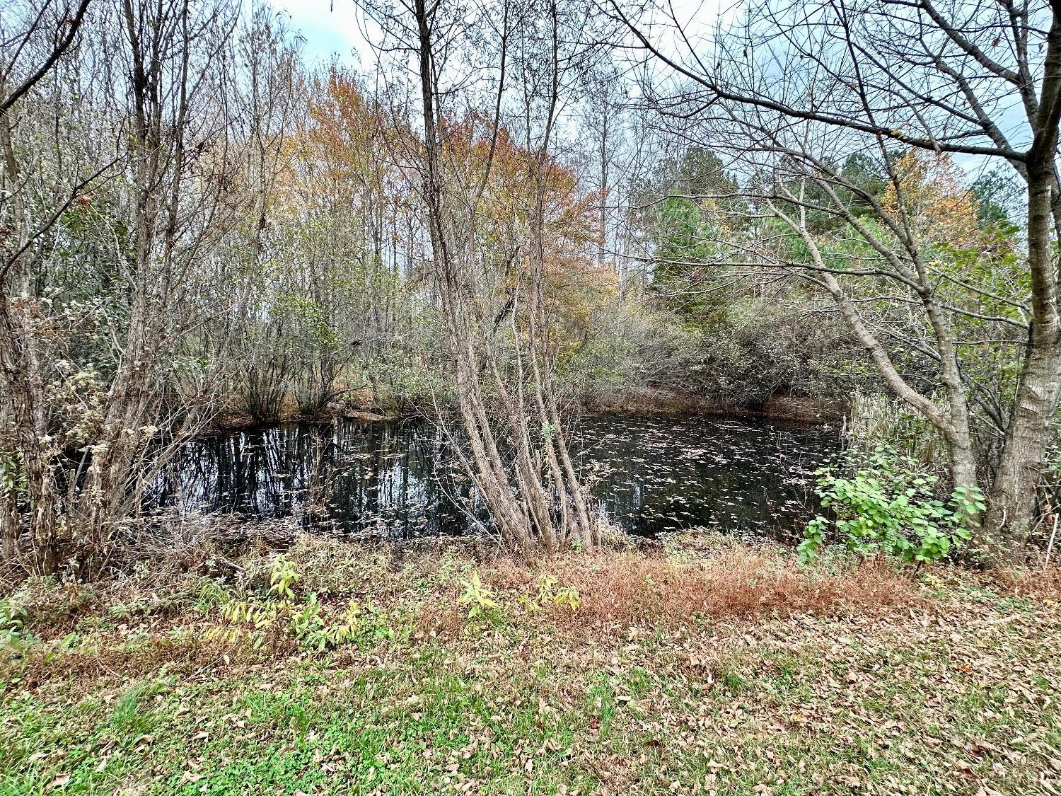 5268 Old Courthouse Road Appomattox, VA 24522 - Photo 48 of 50 Gallery Image 48