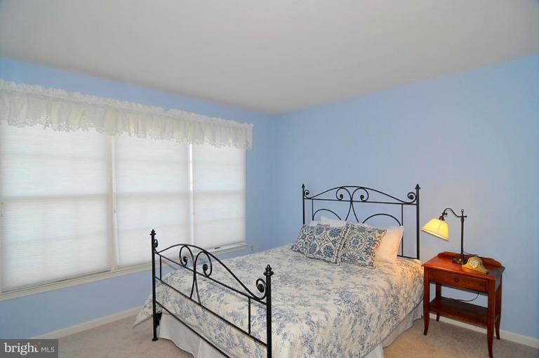 6405 Empty Song Road Columbia, MD 21044 - Photo 16 of 22 Bedroom #2