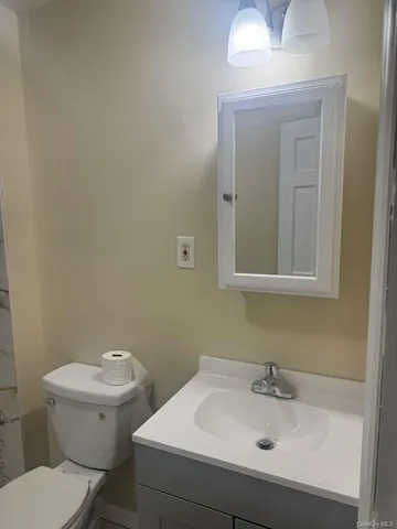 a bathroom with a sink and a toilet