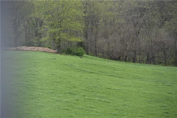 $1,150,000 | Hwy Nn Highway, Spickard, MO 64679