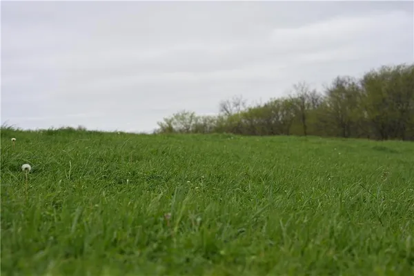 $1,150,000 | Hwy Nn Highway, Spickard, MO 64679