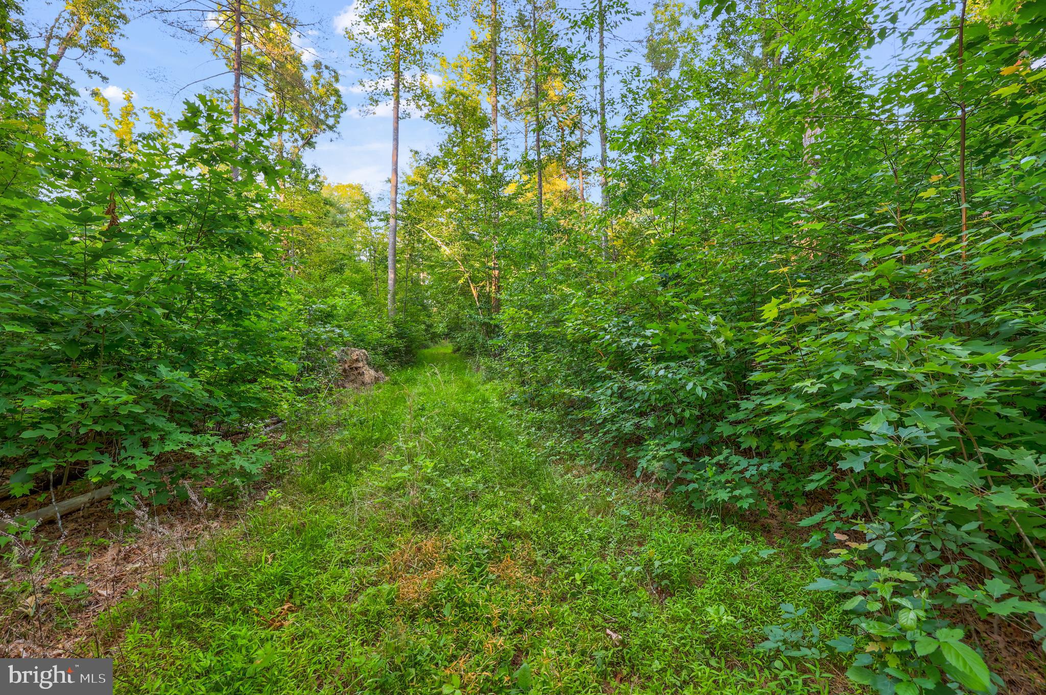 Lot 27-66b Kovi Ridge Trail Reva, VA 22735 - Photo 9 of 20