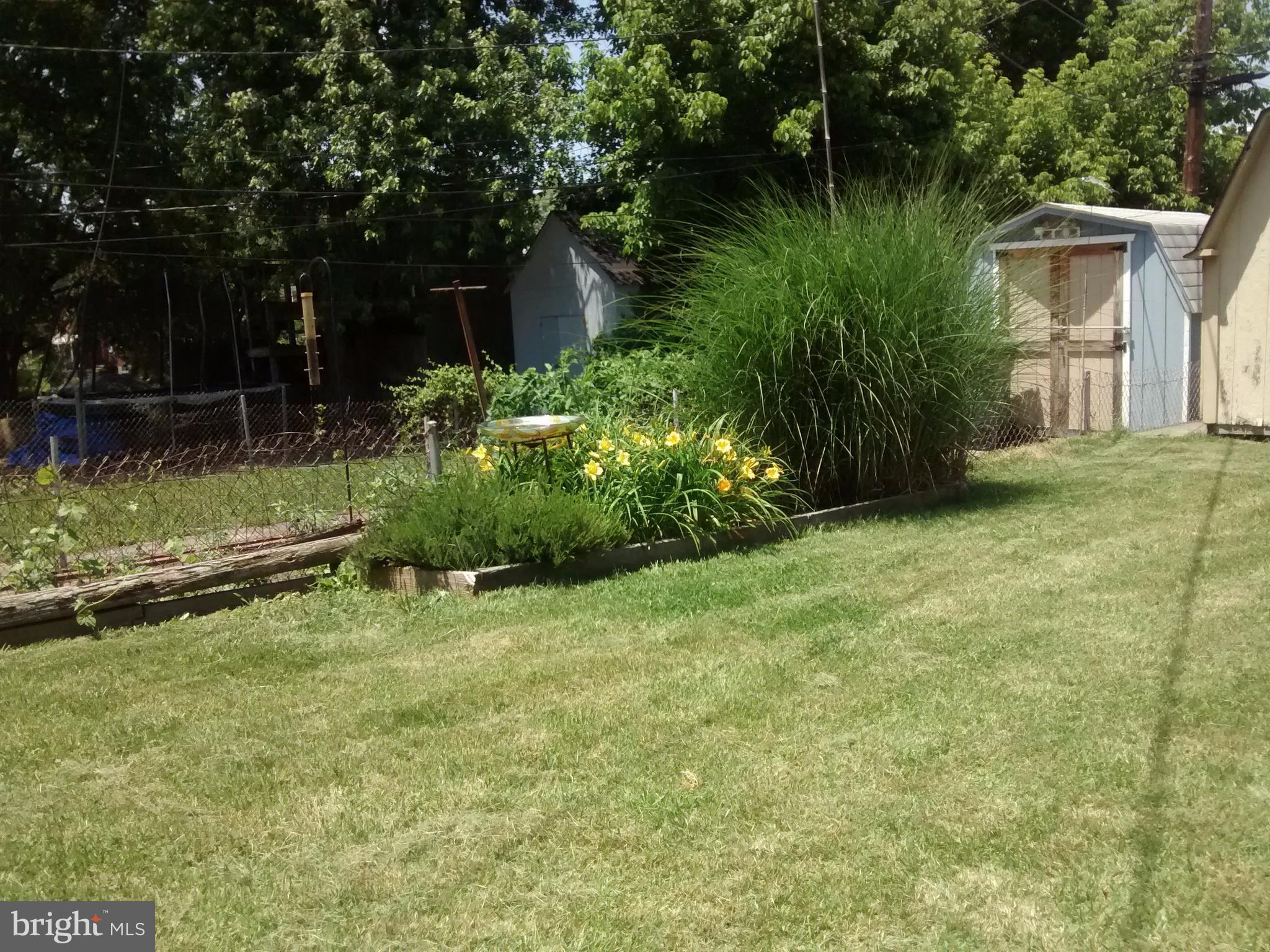 3648 Clarenell Road Baltimore, MD 21229 - Photo 4 of 25 Rear yard view