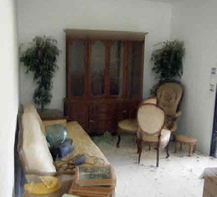 11-3012 Kahaualea Road Volcano, HI 96771 - Photo 7 of 7 a living room with furniture and a potted plant