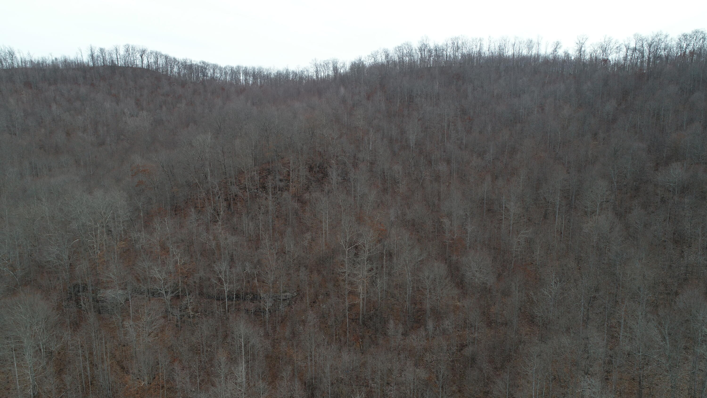 9999 Henry Branch Rd Flat Walker, KY 40997 - Photo 10 of 14 DJI_0397