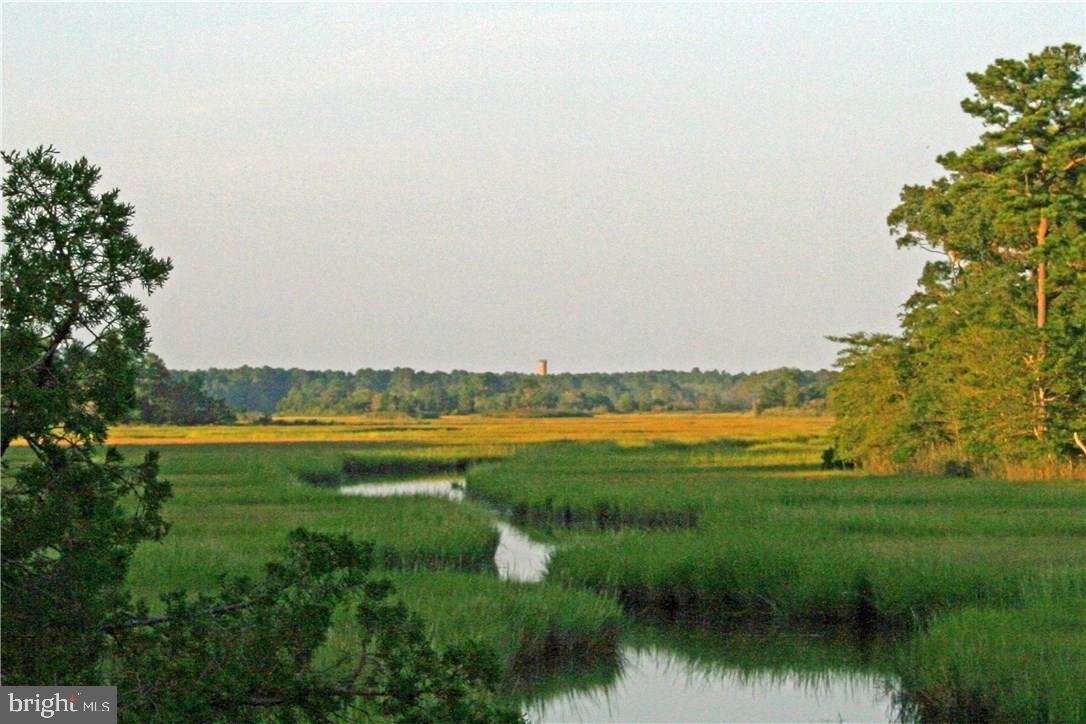 Peregrine Road Lewes, DE 19958 - Photo 12 of 13 Gallery Image 12