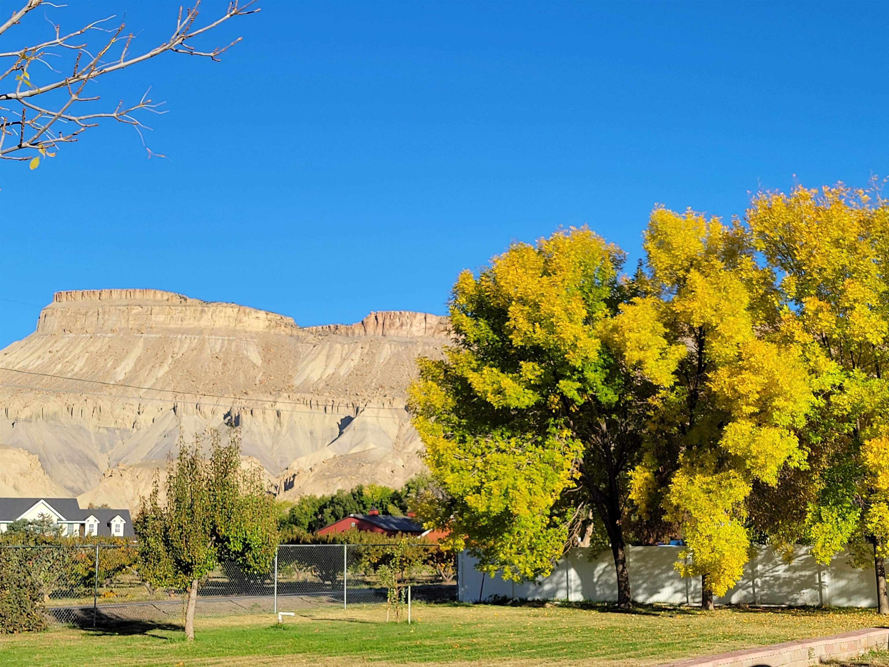 3612 G Road Palisade, CO 81526 - Photo 2 of 38 a view of a large trees with lots of trees