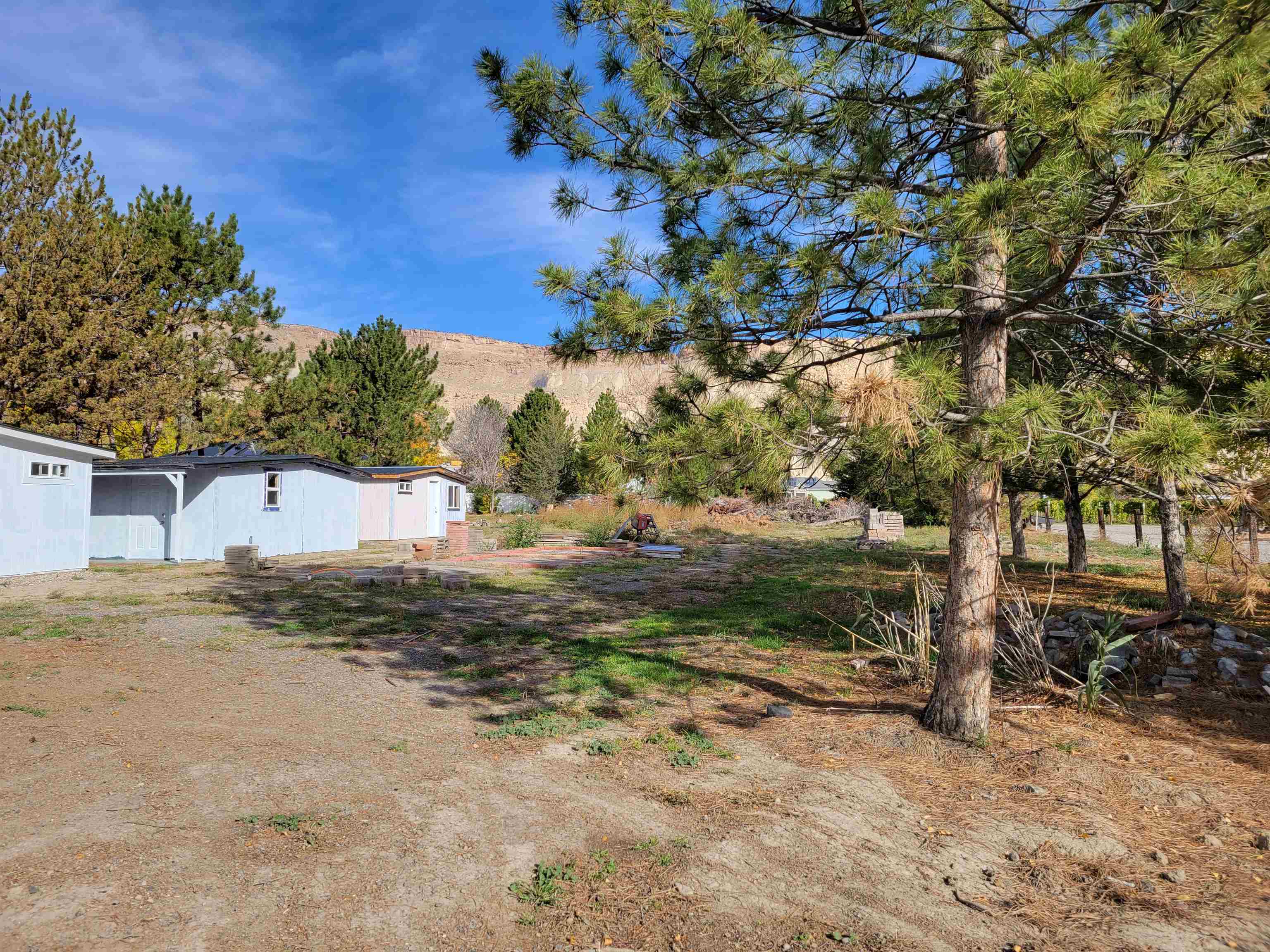3612 G Road Palisade, CO 81526 - Photo 37 of 38 a view of a yard with plants and trees