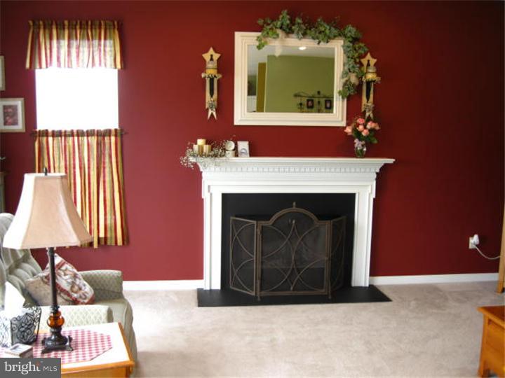 274 West Branch Road Oxford, PA 19363 - Photo 7 of 25 Fireplace