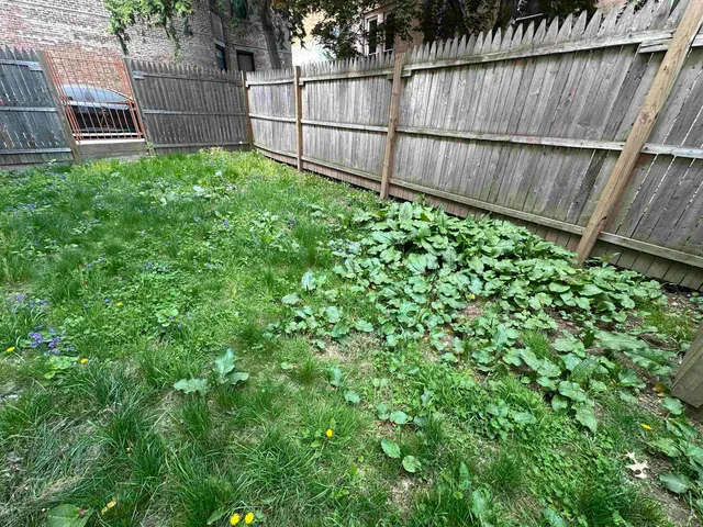 a view of a park with large trees