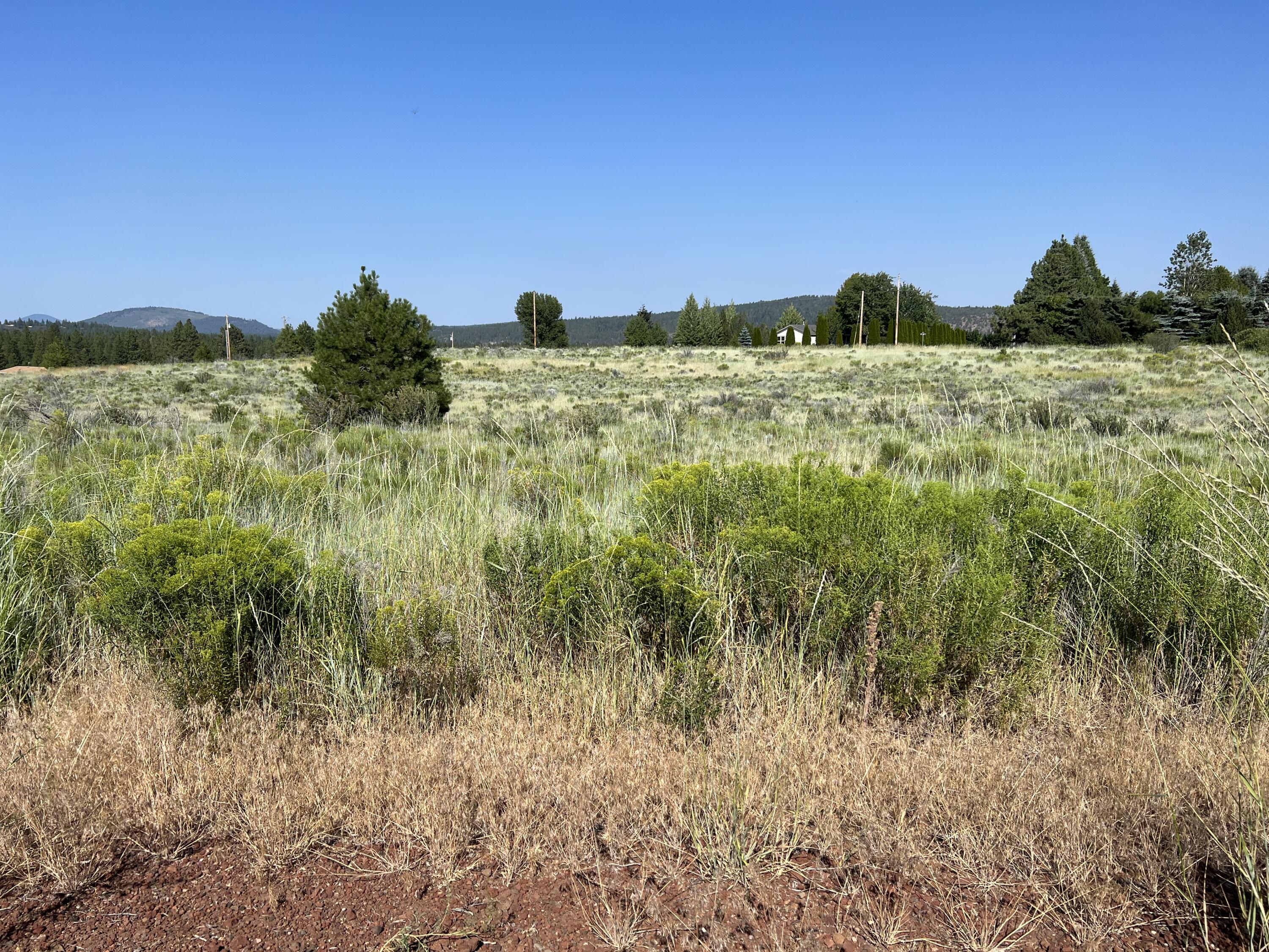 Lot 17 Pleasant View Road Chiloquin, OR 97624 - Photo 3 of 3 IMG-0746