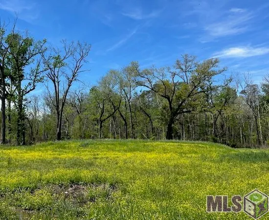 $135,000 | 13023 Bluff Road, Geismar, LA 70734