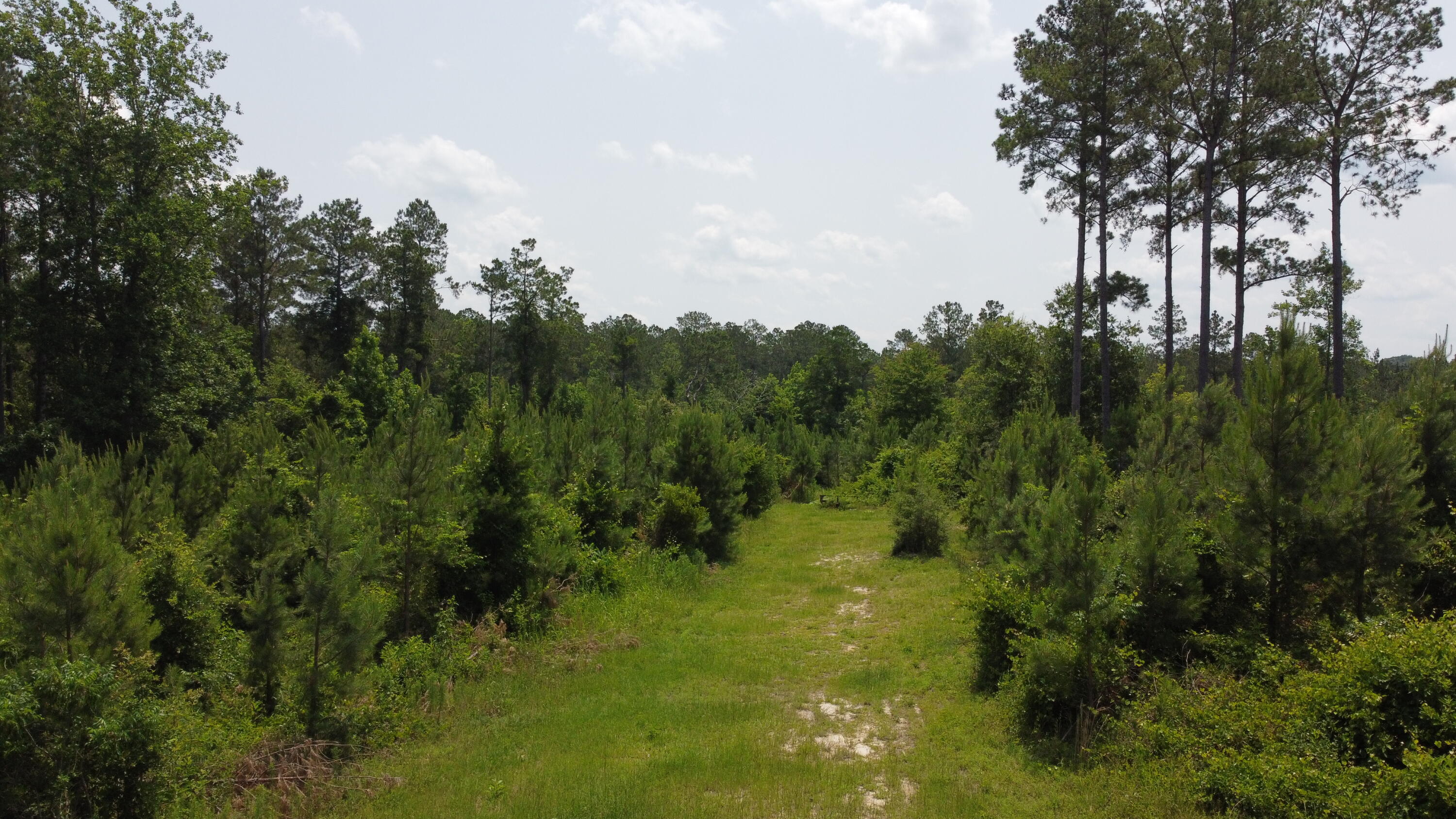 0 Pleasant Grove Road Laurel, MS 39443 - Photo 17 of 20 DJI_0950