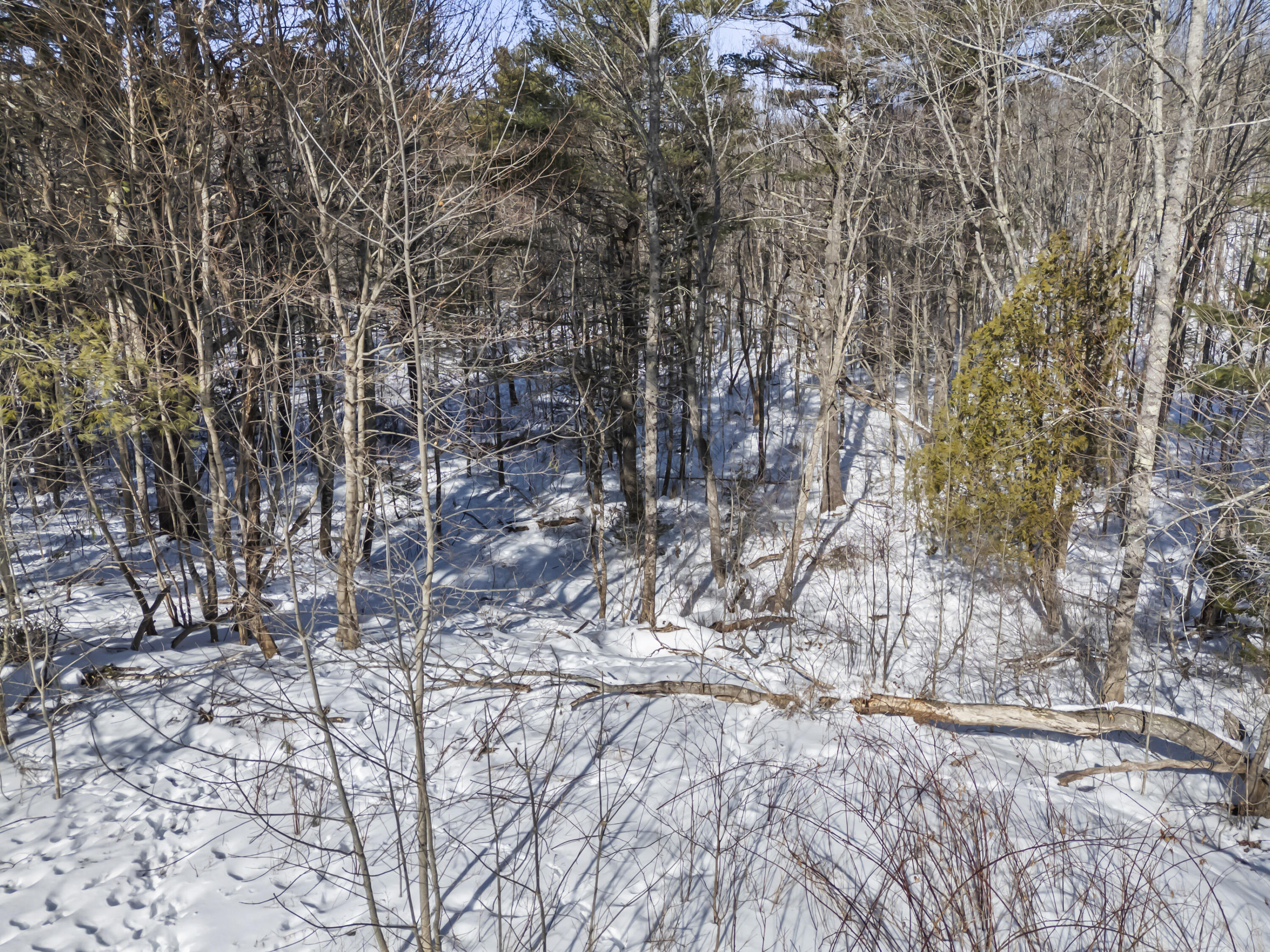 110 Jackson Road Waldoboro, ME 04572 - Photo 69 of 83 110 Jackson Rd_166