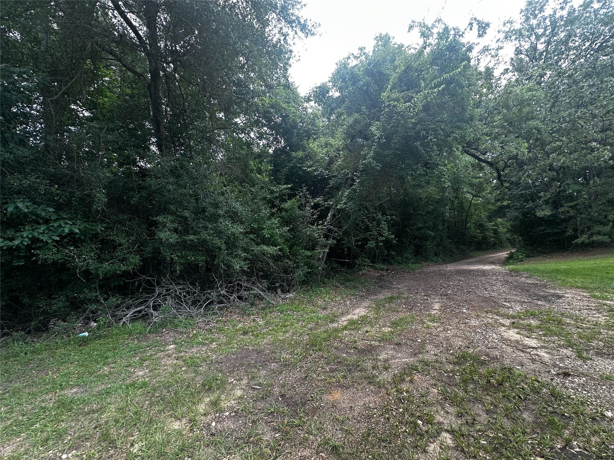 Tbd Old Israel Road Livingston, TX 77351 - Photo 2 of 8
