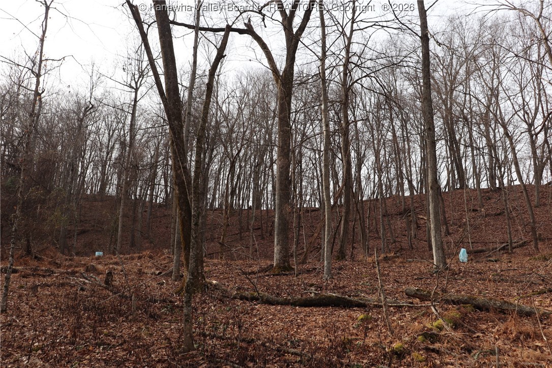 0 Route 12 Road Alum Creek, WV 25003 - Photo 24 of 44 Gallery Image 24