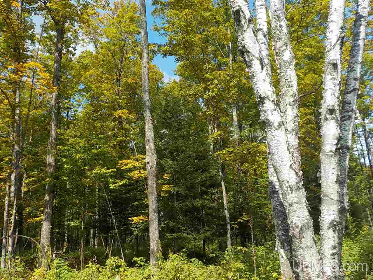 80-ac Mcclaren Road Crystal Falls, MI 49920 - Photo 7 of 27
