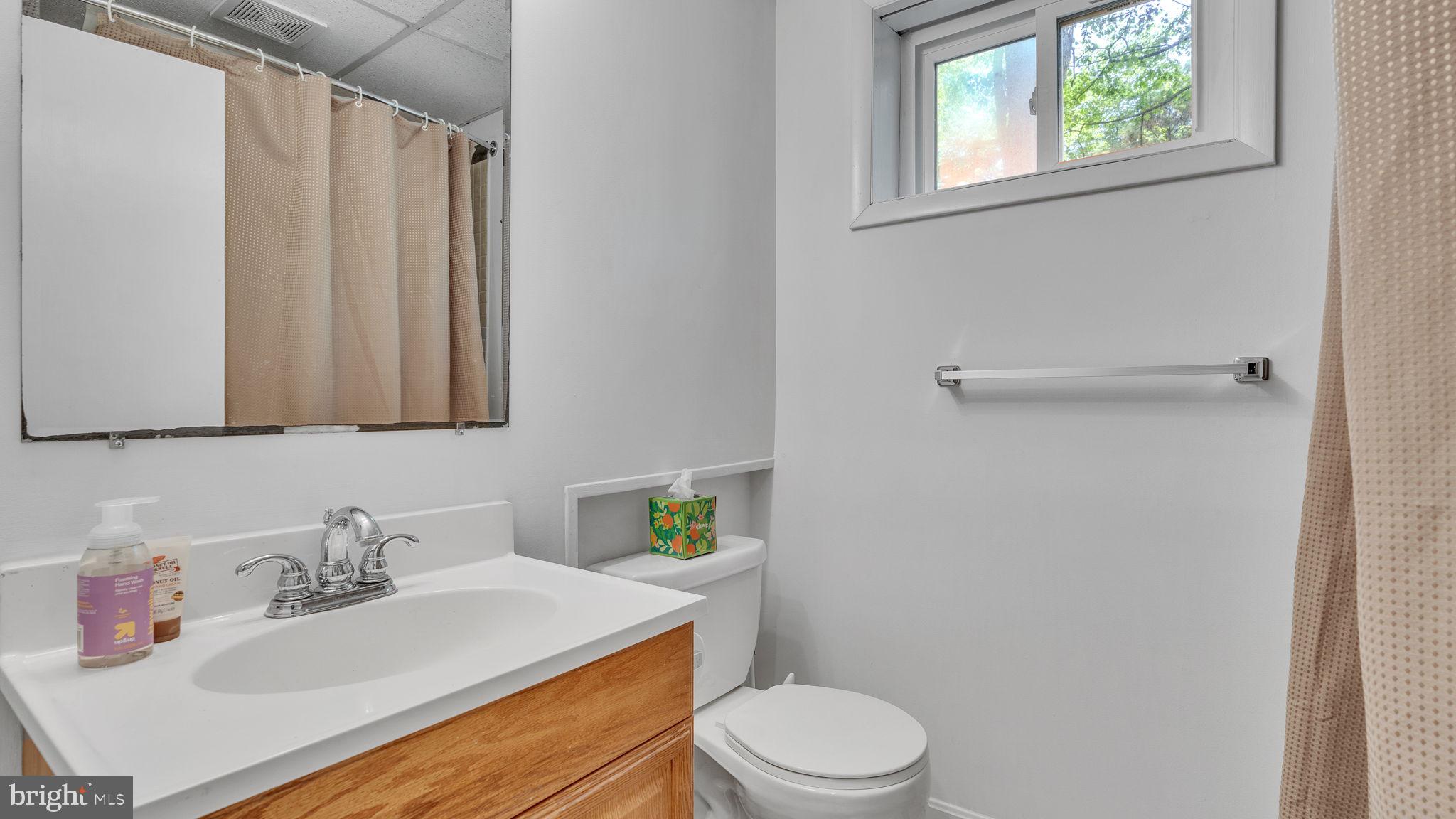 24680 Morgan Road Hollywood, MD 20636 - Photo 26 of 34 a bathroom with a sink a toilet and a mirror