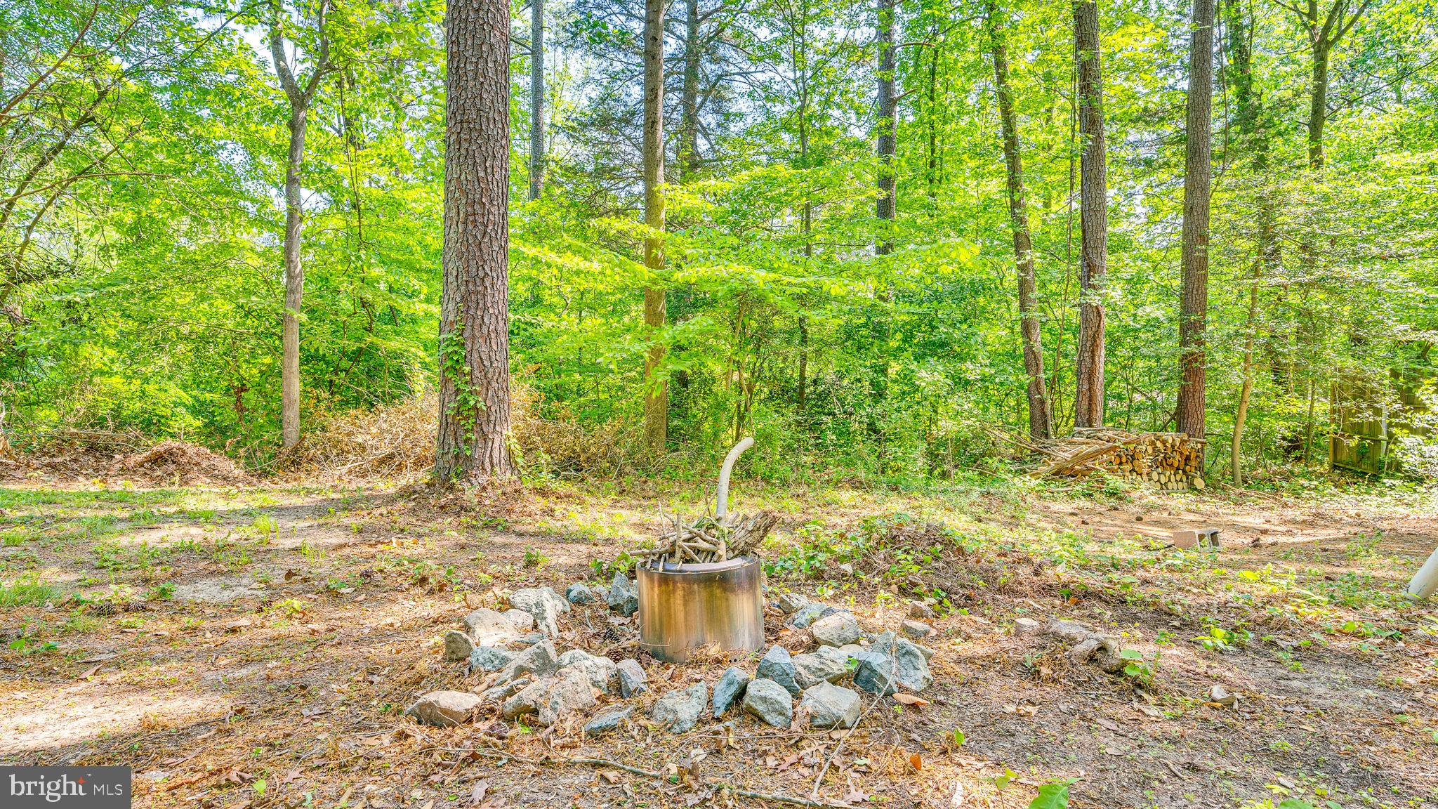 24680 Morgan Road Hollywood, MD 20636 - Photo 30 of 34 a backyard of a house with large trees and plants