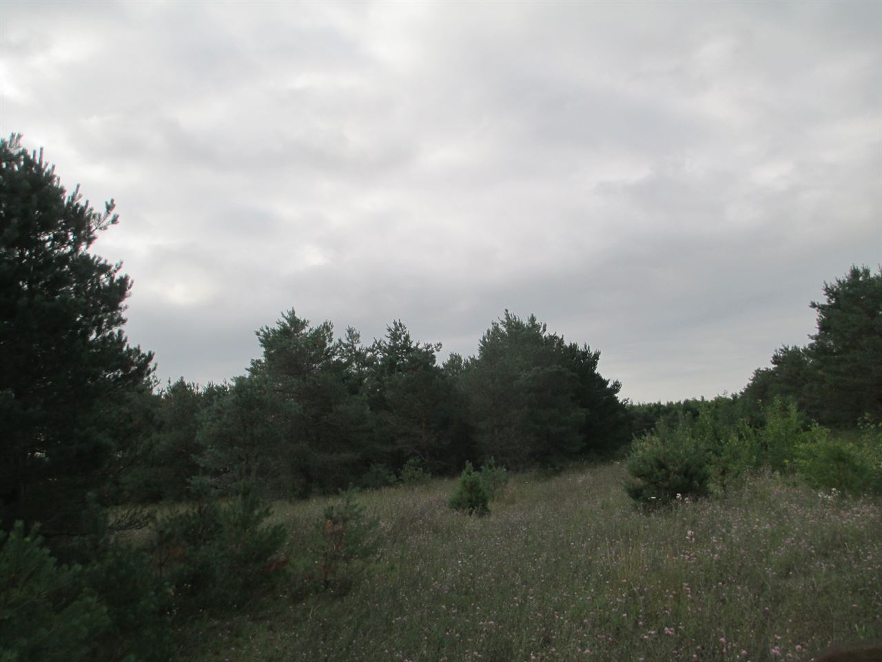 Anderson Road Kalkaska, MI 49646 - Photo 7 of 17 1860155-6.JPG