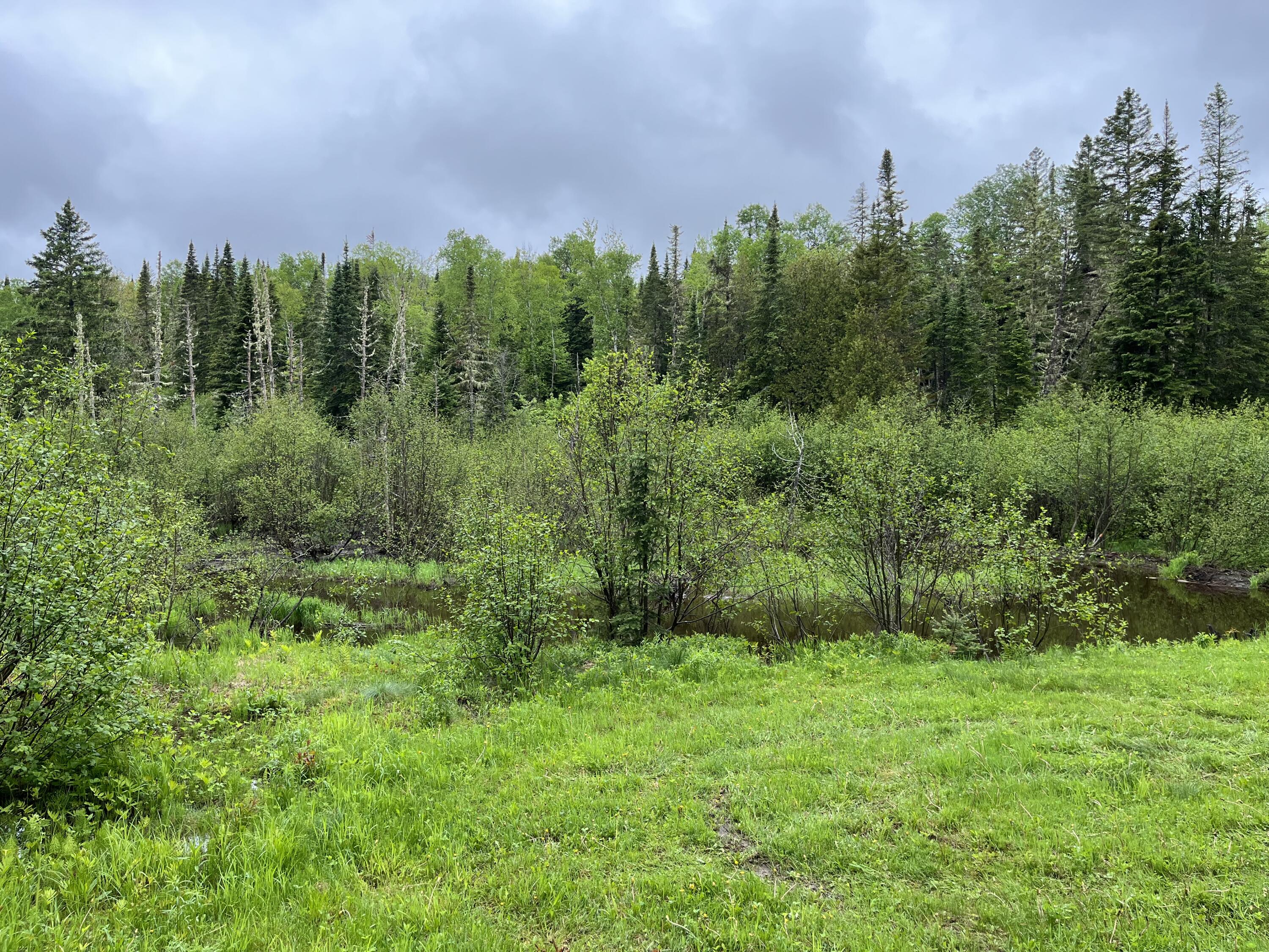 1731 Hamlin Road Van Buren, ME 04785 - Photo 10 of 34 Hamlin property