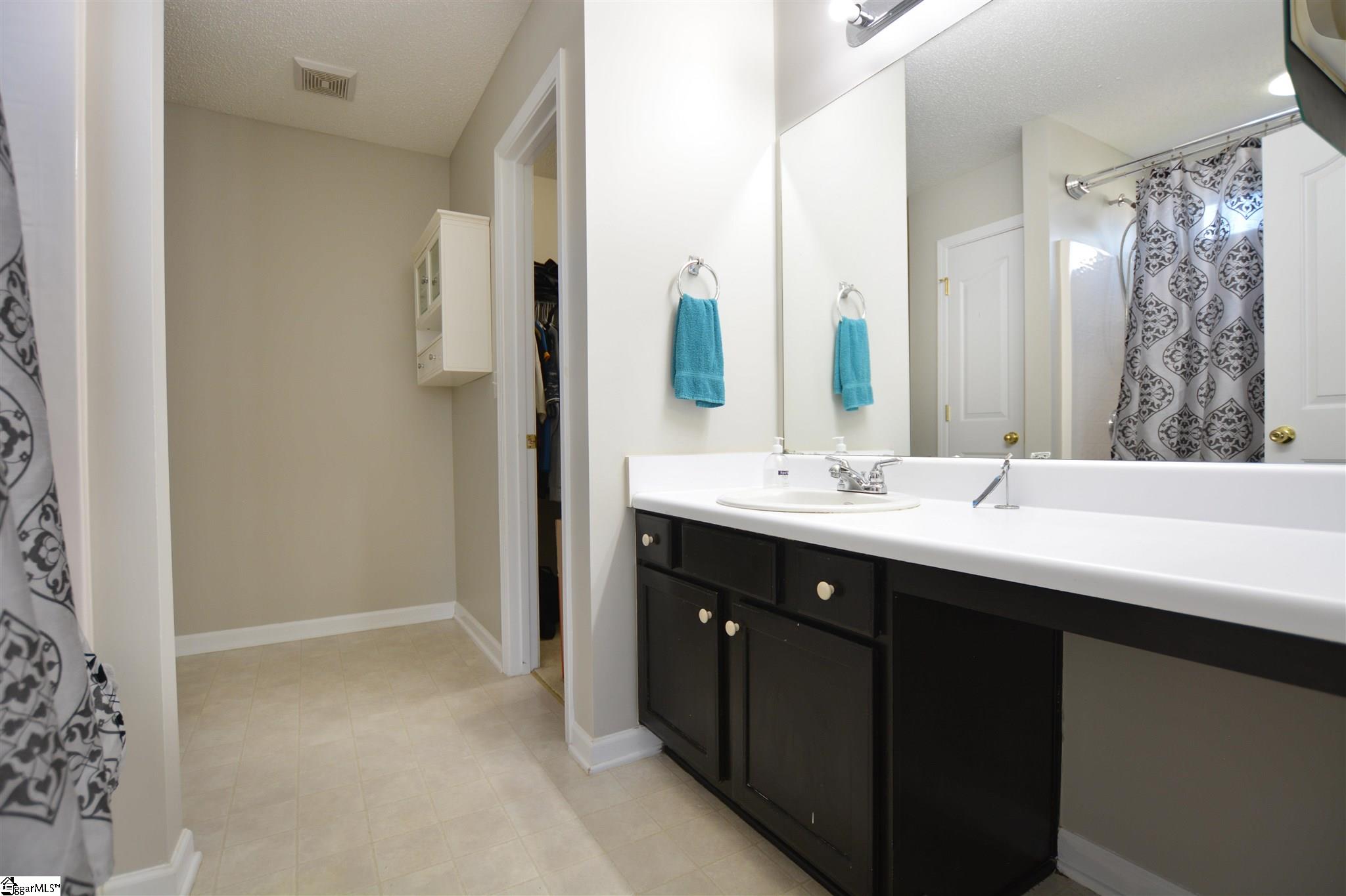 9 Spring Walk Way Greenville, SC 29605 - Photo 18 of 25 Gallery Image 18