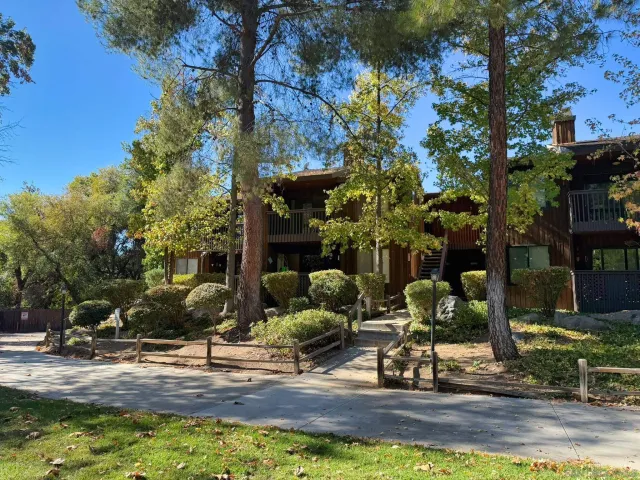 a view of a garden with plants
