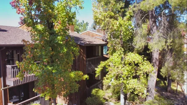 a view of a park with large trees