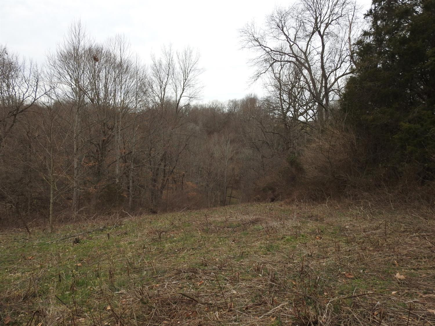 767 Jack Black Road Lancaster, KY 40444 - Photo 17 of 36 Photo 17
