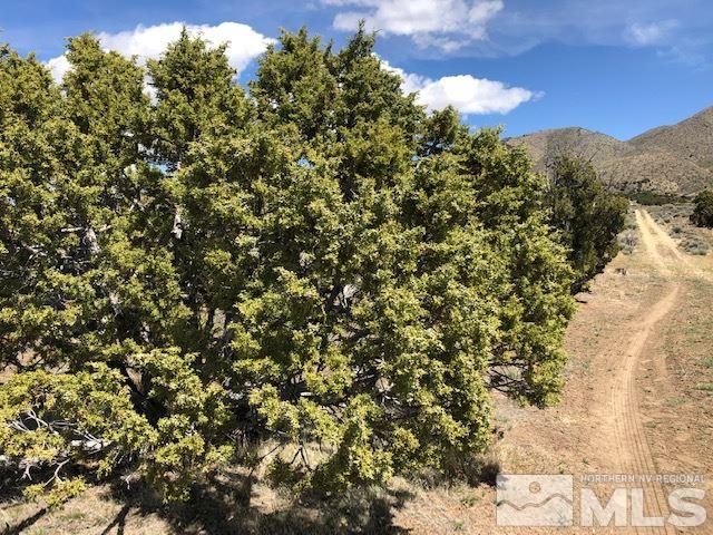 0 Wendell Lane Reno, NV 89508 - Photo 3 of 11 a view of a yard with a tree