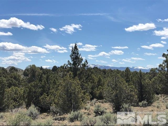 0 Wendell Lane Reno, NV 89508 - Photo 4 of 11 a view of a sky