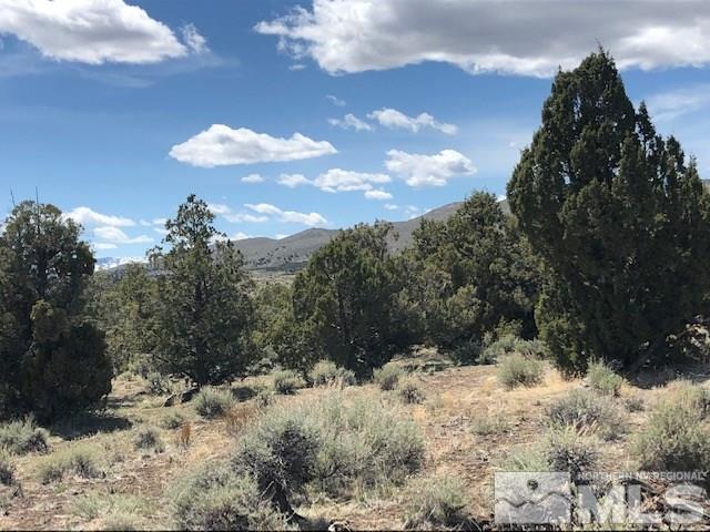 0 Wendell Lane Reno, NV 89508 - Photo 5 of 11 a view of a covered with snow in the background