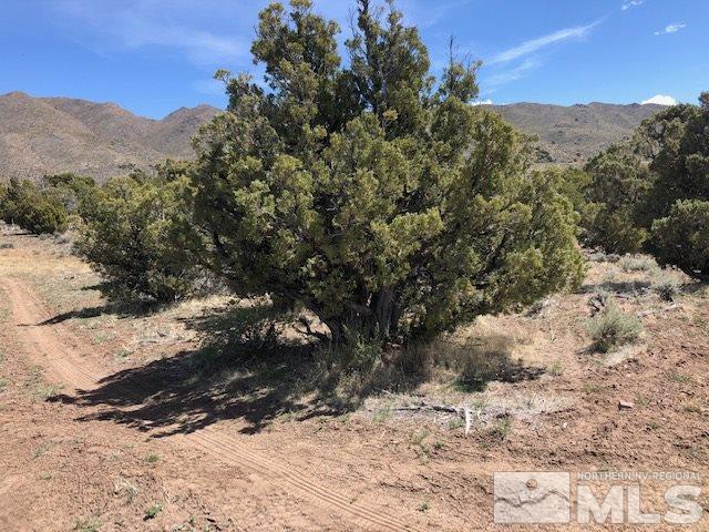 0 Wendell Lane Reno, NV 89508 - Photo 6 of 11 a view of a yard with a mountain in the background