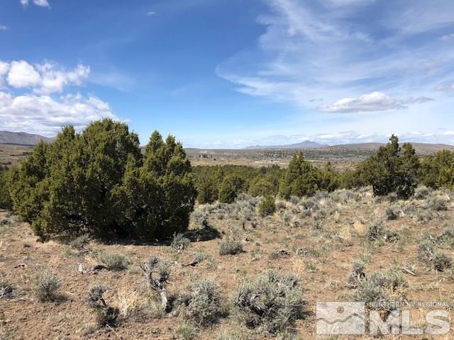 0 Wendell Lane Reno, NV 89508 - Photo 8 of 11 a view of a dry yard with trees