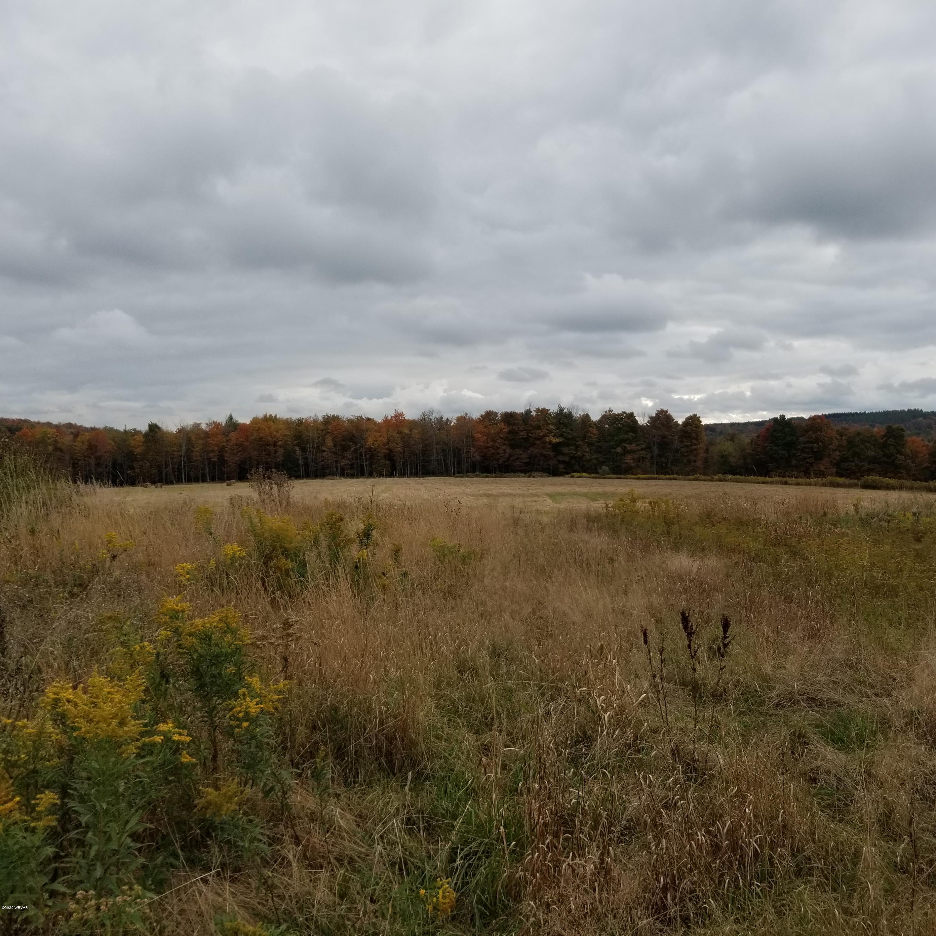 Mountain Road, Unit 5 Dushore, PA 18614 - Photo 1 of 9 Gallery Image 1