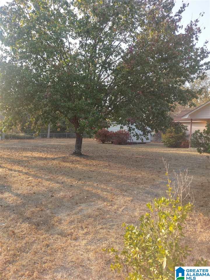 338 Collum Street Jemison, AL 35085 - Photo 16 of 27