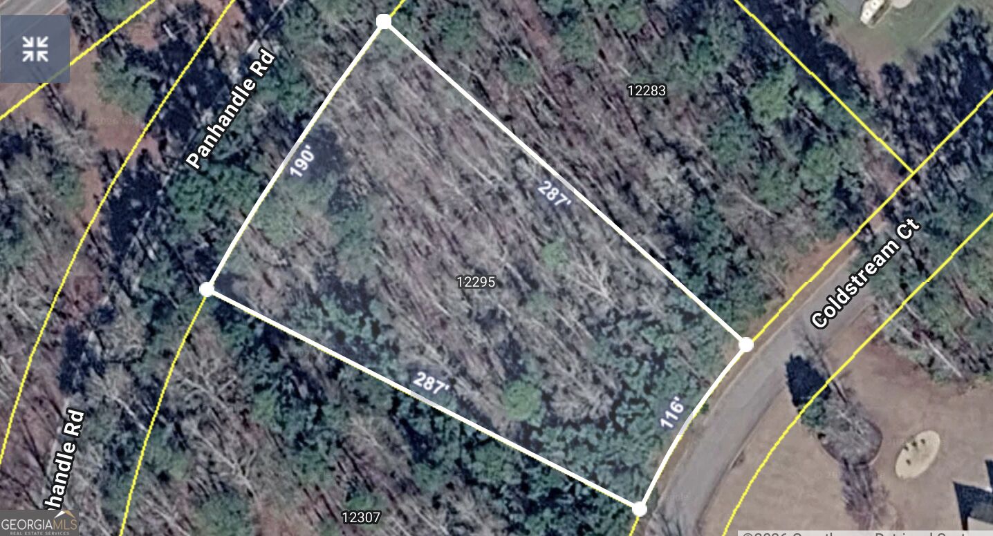 12295 Coldstream Court Hampton, GA 30228 - Photo 1 of 4 Gallery Image 1