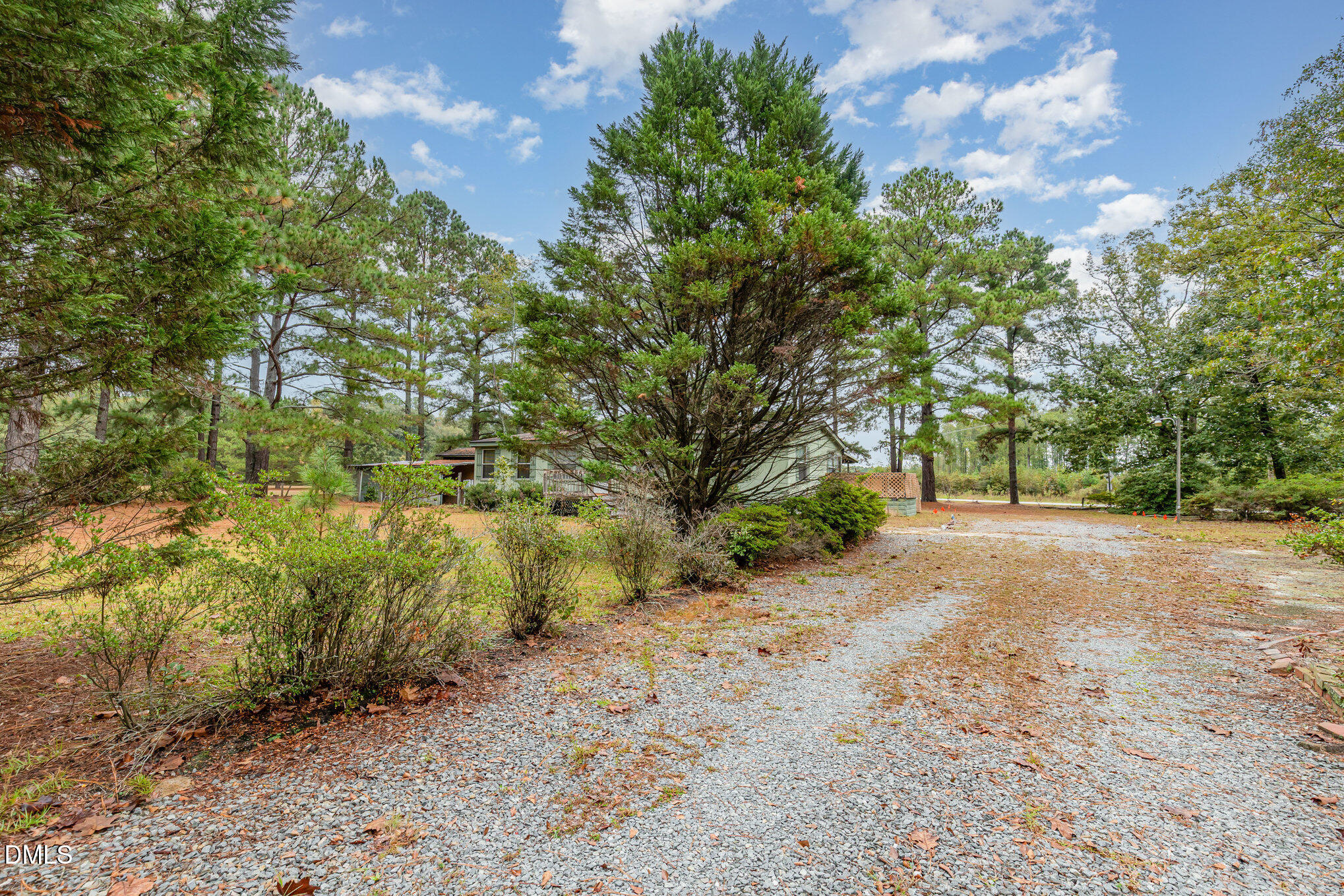 1969 Bagley Road Kenly, NC 27542 - Photo 11 of 23 a view of a yard with plants and trees