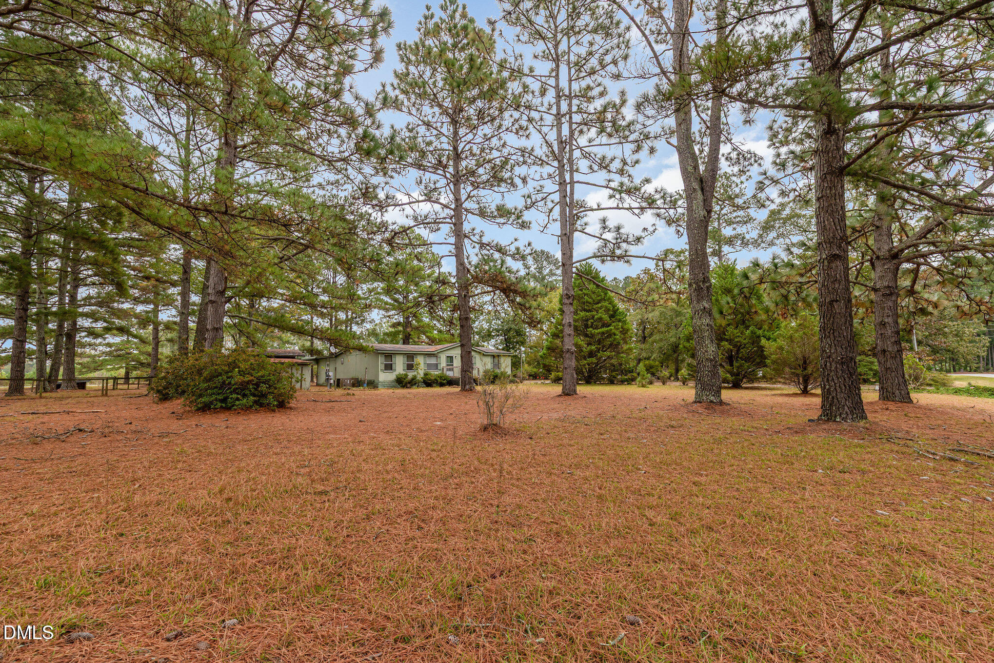 1969 Bagley Road Kenly, NC 27542 - Photo 4 of 23 a backyard of a house with trees and outdoor space